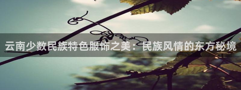 开丰娱乐上