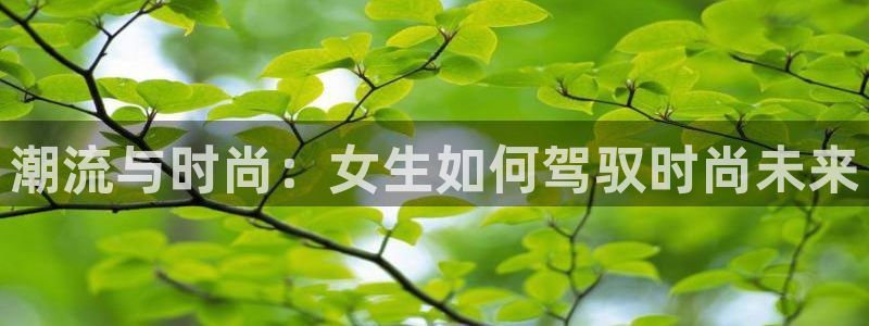 开丰娱乐官网登录网址