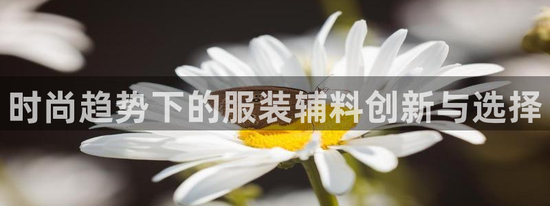 开丰娱乐官网