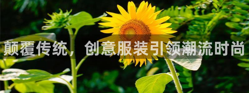 开丰娱乐科技