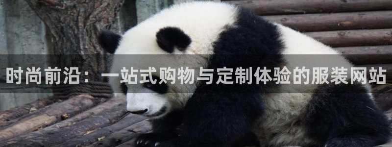 开丰娱乐主管