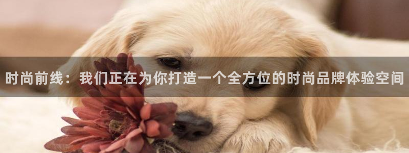 开丰娱乐网站官网下载