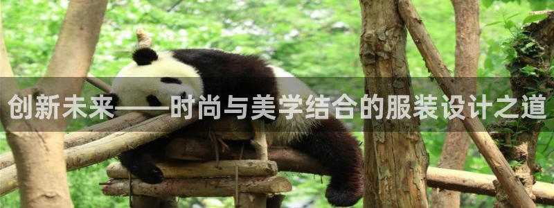 开丰娱乐平台注册时间