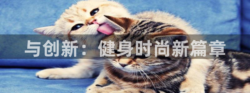 开丰娱乐2登录