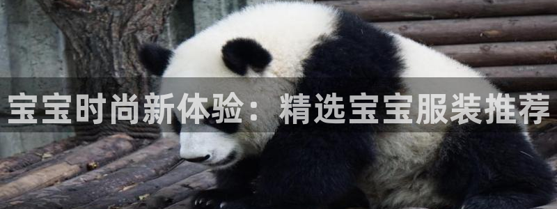 开丰娱乐寸六七五一38